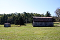 img_6557.jpg