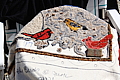 img_6573.jpg