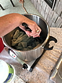 img_0238.jpg